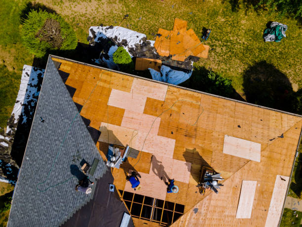 Best Flat Roof Repair Services  in Halls, TN