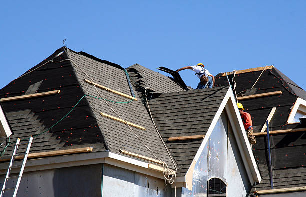 Best New Roof Installation  in Halls, TN